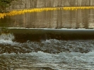 Bild 10 von 48